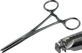 Star Skin Diver Holding Forcep