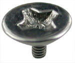 Surgical Steel Phillips Head Screw Top