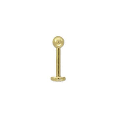 Collection image for: Zircon Gold - Zirconium nitride coated Titanium