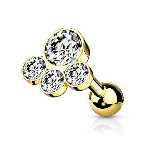 Steel Multi Disc Jewelled Barbell Pawprint