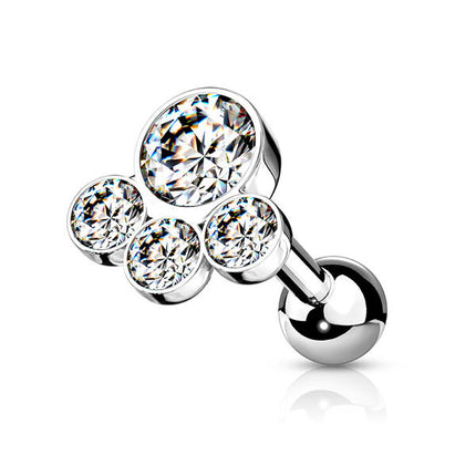 Steel Multi Disc Jewelled Barbell Pawprint