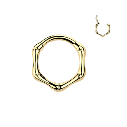 Titanium Hinged Bone Segment Ring