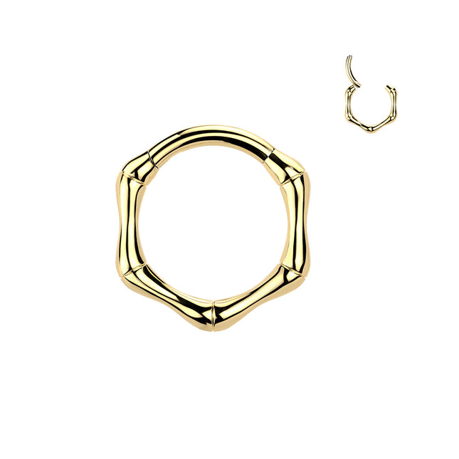 Titanium Hinged Bone Segment Ring