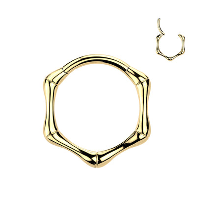 Titanium Hinged Bone Segment Ring