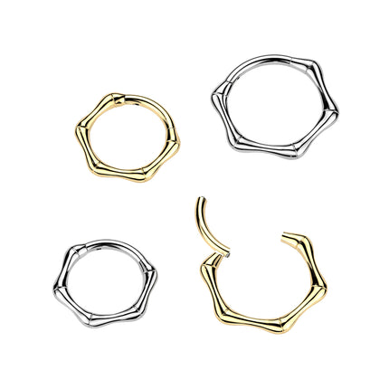 Titanium Hinged Bone Segment Ring