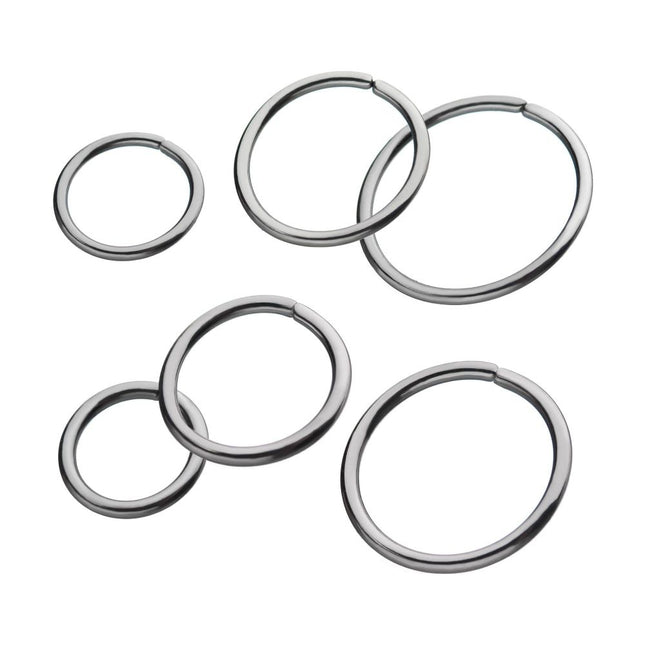 Invictus Niobium Seamless Split Ring