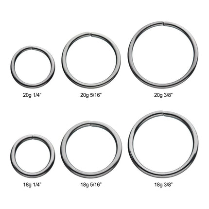 Invictus Niobium Seamless Split Ring