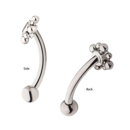 Invictus Titanium Internally Threaded with Beads Around Bezel Set Clear AAA CZ Flower Fixed Top Curved Barbell