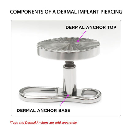 Invictus Titanium Internally Threaded with 2 Hole Dermal Anchor Base