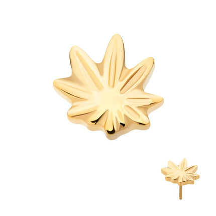 Invictus 24Kt Gold PVD Titanium Threadless Pot Leaf Top