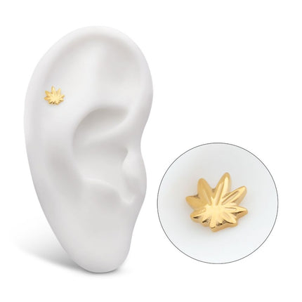 Invictus 24Kt Gold PVD Titanium Threadless Pot Leaf Top