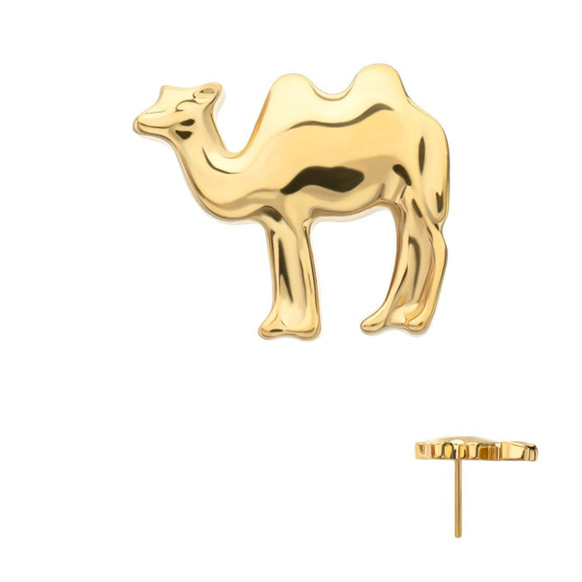 Invictus 24Kt Gold PVD Titanium Threadless Low Profile 3D Camel Top