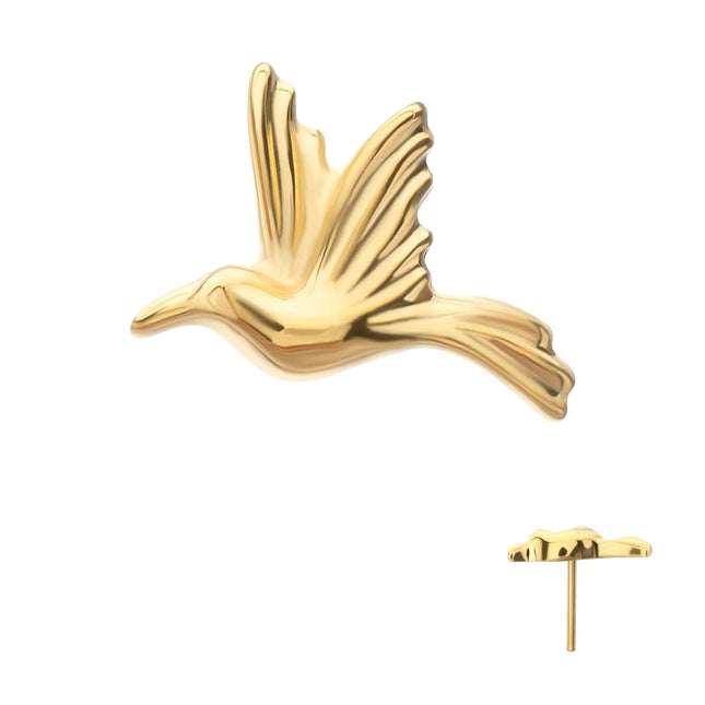 Invictus 24Kt Gold PVD Titanium Threadless Low Profile 3D Hummingbird Top