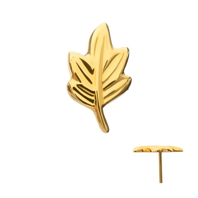 Invictus 24Kt Gold PVD Titanium Threadless Leaf Top