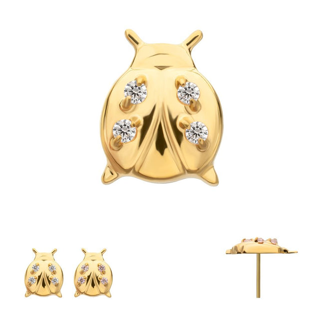 Invictus 24kt Gold PVD Titanium Threadless Prong Set Gem Lucky Ladybug Top
