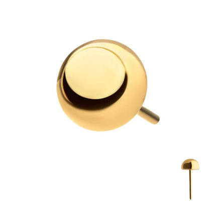 Invictus 24Kt Gold PVD Titanium Threadless Dome Top