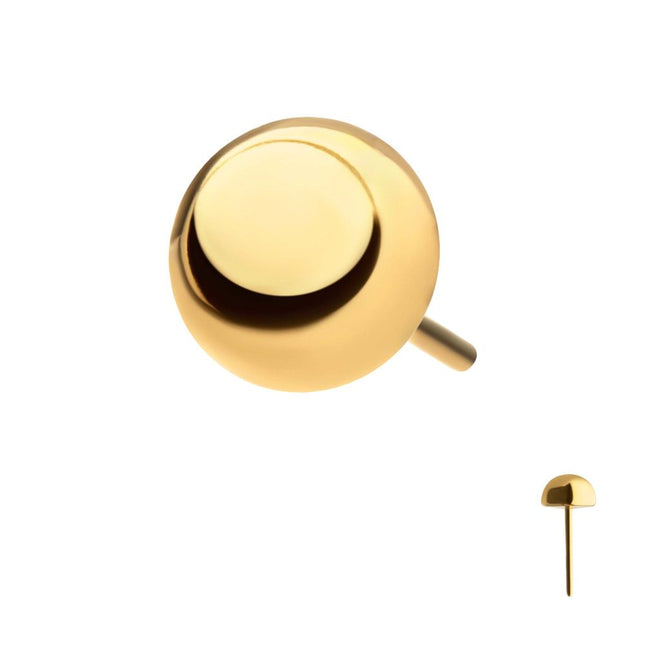 Invictus 24Kt Gold PVD Titanium Threadless Dome Top