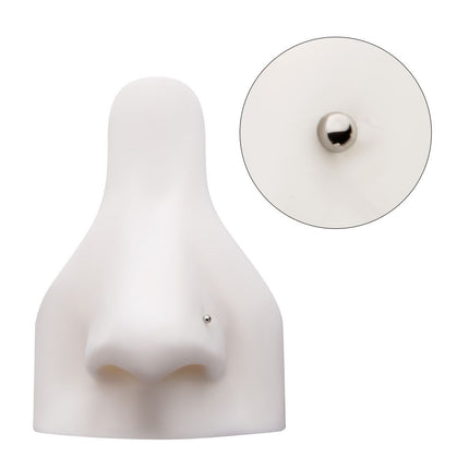 Invictus Titanium Dome Top Nose Pin