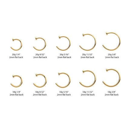 Invictus 24KT Gold PVD Titanium Flat Back Nose Ring