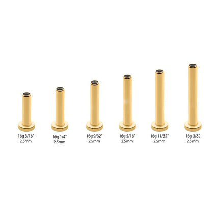 Invictus 24K Gold PVD Titanium Internally Threaded Micro Labret Pin with 2.5mm Base