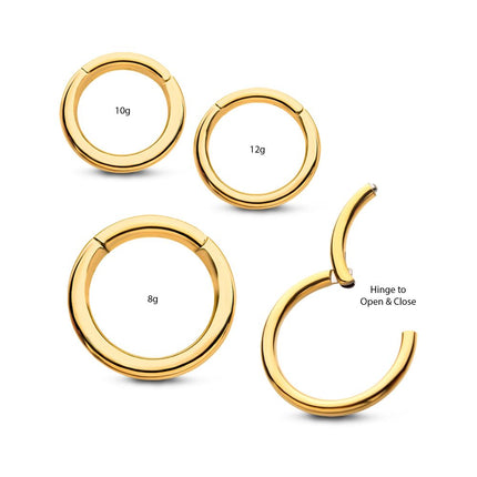 Invictus 24KT Gold PVD Titanium Hinged Segment Clicker (12g to 8g)