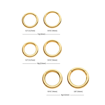 Invictus 24KT Gold PVD Titanium Hinged Segment Clicker (12g to 8g)