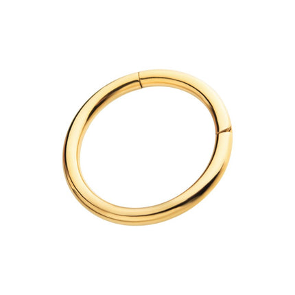 Invictus 24KT Gold PVD Titanium Hinged Segment Clicker (12g to 8g)