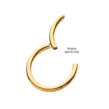 Invictus 24KT Gold PVD Titanium Hinged Segment Clicker (12g to 8g)