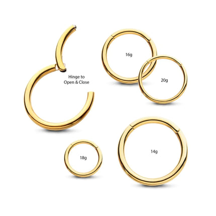 24KT Gold PVD Titanium Hinged Segment Clicker (20g to 14g)
