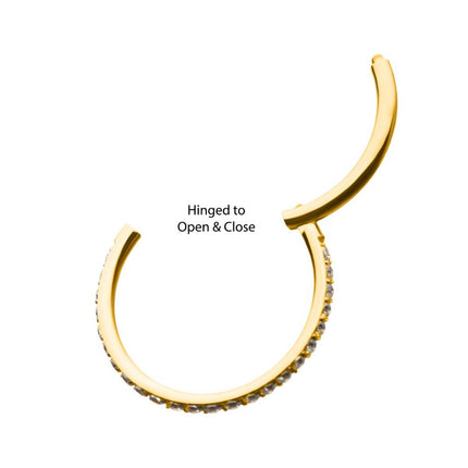 Invictus 24KT Gold PVD Titanium CNC Set Clear CZ Eternity Side Facing Hinged Segment Clicker