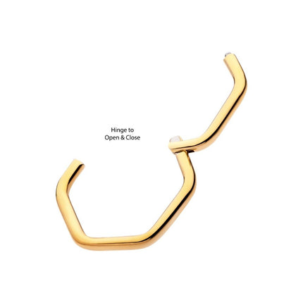 Invictus Hexagon Shape 24Kt Gold PVD Titanium Front Facing Hinged Segment Clicker