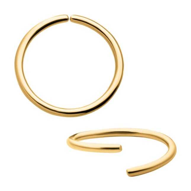 Invictus 24Kt Gold PVD Titanium Seamless Split Ring