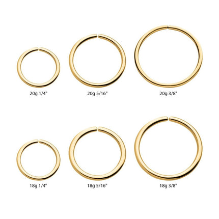 Invictus 24Kt Gold PVD Titanium Seamless Split Ring