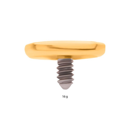 Invictus 24Kt Gold PVD Titanium Internally Threaded Flat Disc Top
