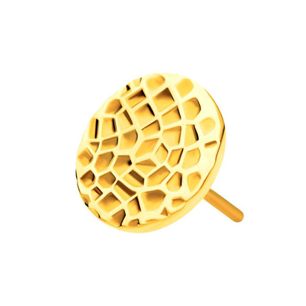Invictus 24Kt Gold PVD Titanium Threadless Hammered Disk Top