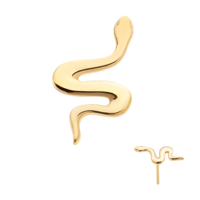 Invictus 24Kt Gold PVD Titanium Threadless Snake Top