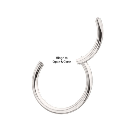 Invictus Platinum PVD Titanium Basic Hinged Segment Clicker
