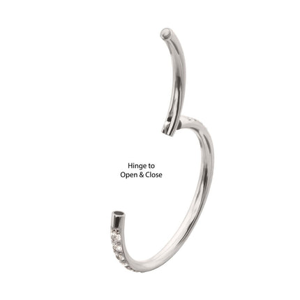 Invictus Platinum PVD Titanium 1mm CNC Set Full Clear CZ Eternity Gem Side Facing Hinged Segment Clicker
