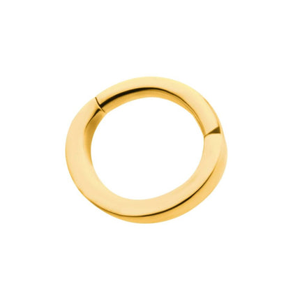 Invictus 16g 24Kt Gold PVD Titanium Oval Shape Hinged Segment Clicker (for Rook Piercing)