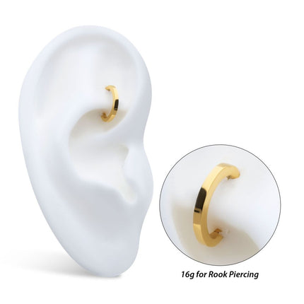 Invictus 16g 24Kt Gold PVD Titanium Oval Shape Hinged Segment Clicker (for Rook Piercing)