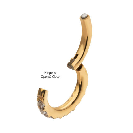 Invictus 14g 24Kt Gold PVD Titanium Oval Shape with CNC Set Full Clear CZ Hinged Segment Clicker (for Navel Piercing)