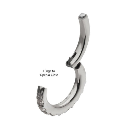 Invictus 16g Titanium Oval Shape with CNC Set Full Clear CZ Hinged Segment Clicker (for Rook Piercing)