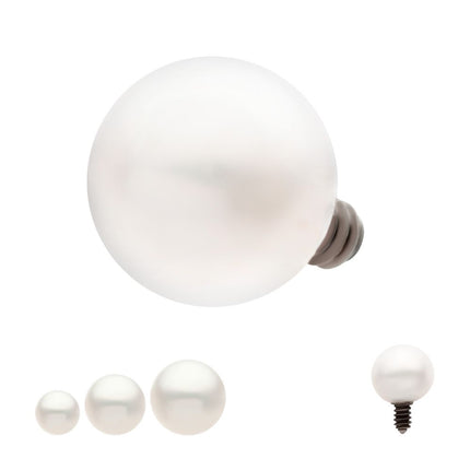 Invictus Titanium Internally Threaded Natural Freshwater Pearl Top