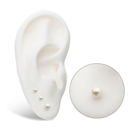 Invictus Titanium Internally Threaded Natural Freshwater Pearl Top