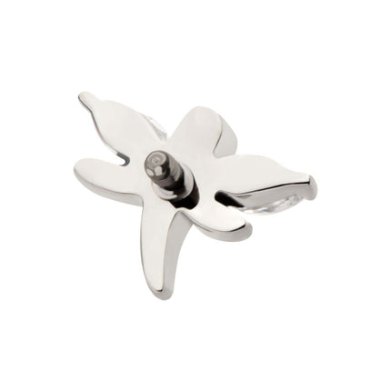Invictus Titanium Internally Threaded Prong Set Marquise CZ Dragonfly Top