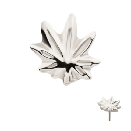 Invictus Titanium Threadless Pot Leaf Top