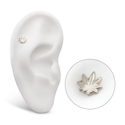 Invictus Titanium Threadless Pot Leaf Top