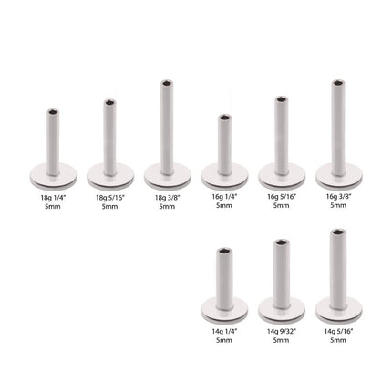 Invictus Titanium Threadless Labret 5mm Base