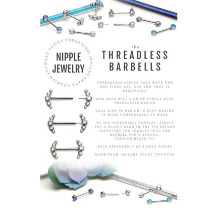 Invictus Titanium with One Side Fixed & One Side Threadless Nipple Barbell with Bezel Set CZ 3-Cluster Ends