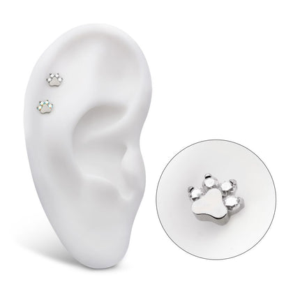 Invictus Titanium Threadless with Prong Set CZ 4-Cluster Paw Top